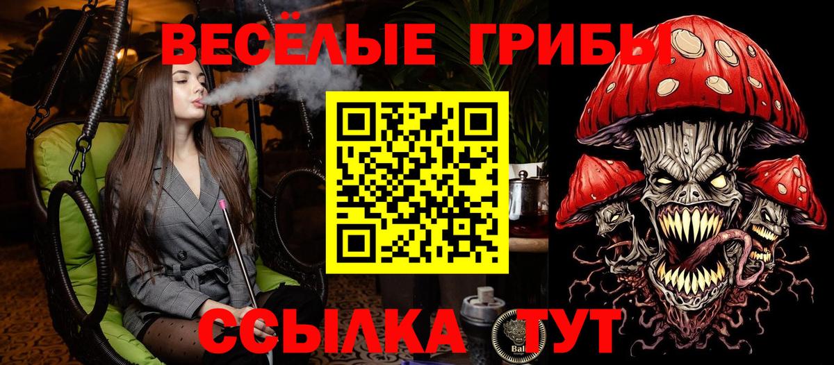 Шарыпово  Галлюциногенные грибы Psilocybe  Галлюциногенные грибы мухоморы  Вход с VPN 