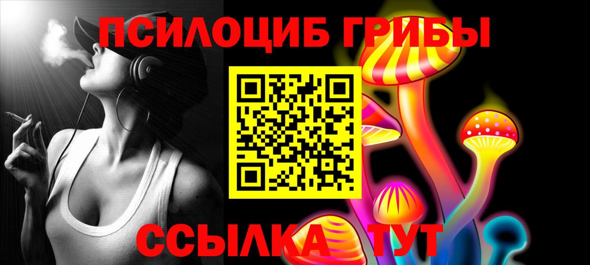 Псилоцибиновые грибы Cubensis Шарыпово